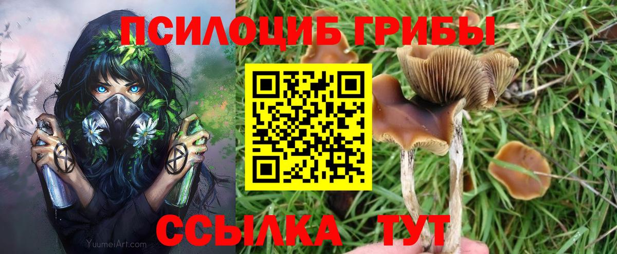 Псилоцибиновые грибы Magic Shrooms Махачкала